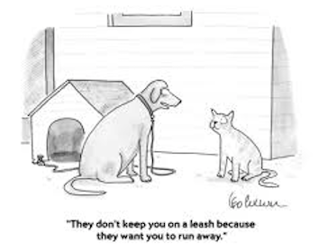 They don't keep you on a leash because they want you to run away!